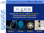 Rare Biosphere - Census of Marine Life Secretariat