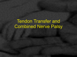 Combined Nerve Palsy - Alpha Hand Surgery Centre