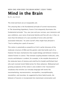 The mind and brain are an inseparable unit.