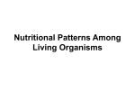 Nutritional Pattern Among Orgnaisms