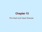 Chapter 13 The Heart and Heart Disease