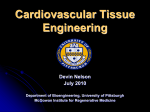 Cardiovascular Tissue Engineering SAMS
