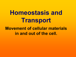 Homeostasis and Transport PowerPoint