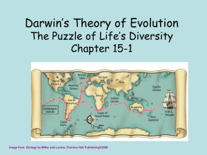 WHAT IS DARWIN`S THEORY?