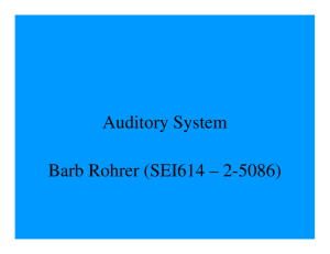 Auditory System Barb Rohrer (SEI614 – 2