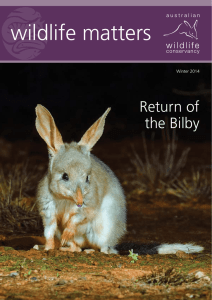 wildlife matters - Australian Wildlife Conservancy