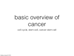 cell cycle, stem-cell, cancer stem-cell