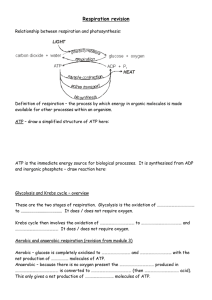 doc 3.5.2 respiration revision Factual revision sheet for