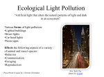 Ecological Light Pollution