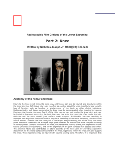 Part 2: Knee - Dr. Mohsen Dashti
