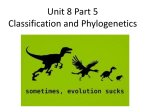 Unit 7 Notes 4 Classification and Phylogenetics