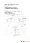 Radiographic Anatomy of the Upper By