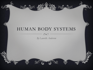 Human Body Systems - local