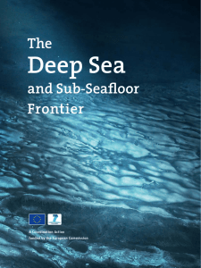 DS3F White Paper - Deep Sea Frontier