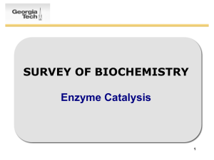 survey of biochemistry - School of Chemistry and Biochemistry