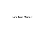 Long Term Memory - krigolson teaching