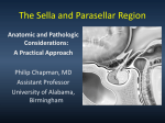 The Sella and Parasellar Region