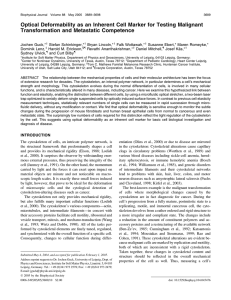 Optical Deformability as an Inherent Cell Marker for Testing