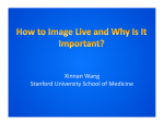 Xinnan Wang Stanford University School of Medicine