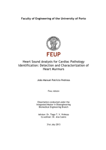 Heart Sound Analysis for Cardiac Pathology Identification: Detection