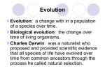 Evolution Vocab