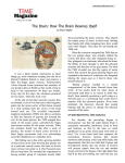 brain-rewires - Palouse Mindfulness