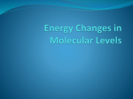 Energy Changes in Molecular Levels