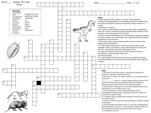 Geo Vocab Puzzle