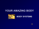 Systems of the Body PPT