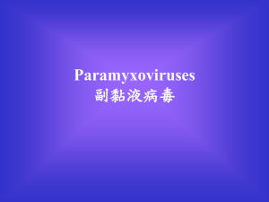 Paramyxoviruses 副黏液病毒 Objectives How many types of viruses