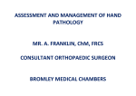 assessment and management of hand
