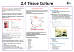 Tissues Culture Poster