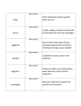 HB Chapter 3.3 and 3.4 Vocab Flashcards