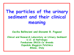 THE URINE SEDIMENT: an historical perspective