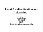 T cell receptors, T cell function and signaling