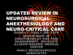 Overview Neuro Anatomy Handout