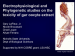 Electrophysiological and phylogenetic studies on the toxicity of gar