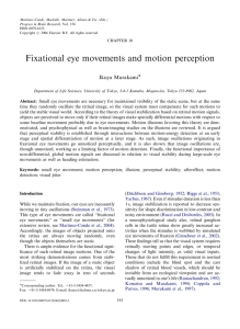 Fixational eye movements and motion perception