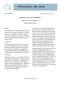 Anatomy of Larynx A Review - Otolaryngology Online Journal