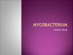Mycobacterium - Mrs. Yu`s Science Classes