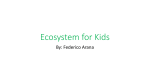 Ecosystem for Kids