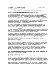 Biology 355: Entomology Fall 2004