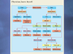 Overview of strabismus for pediatric neurologists