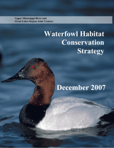 Waterfowl Habitat Conservation Strategy