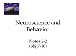 Neuroscience and Behavior Notes 2-2 (obj 7-10)