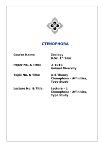 Lecture - 1 Ctenophora - Affinities, Type Study