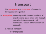 Transport Powerpoint File