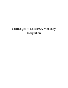 Challenges of COMESA Monetary Integration