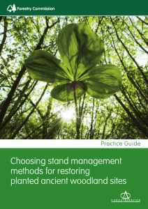 Choosing stand management methods for restoring planted ancient