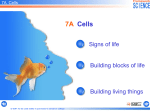 7A Cells